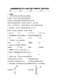 云南省昭通市绥江县2024届九年级下学期中考二模化学试卷(含答案)