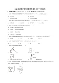 [化学]2024年河南省郑州外国语化学校中考化学三模试卷(含解析)