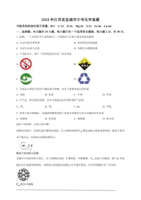 [化学]2024年江苏省盐城市中考化学真题（原卷版）