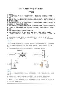 [化学]2024年山东省烟台市中考化学真题（解析版）