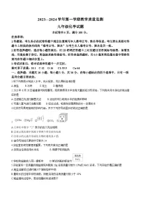福建省泉州市2023-2024学年九年级上学期期末化学试题