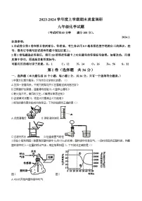 山东省临沂市莒南县2023-2024学年九年级上学期期末化学试题（含答案）