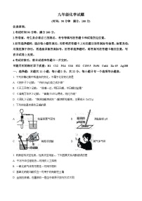 山东省潍坊市2023-2024学年九年级上学期期末化学试题（含解析）