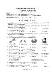 广西南宁市天桃实验学校2023-2024学年九年级下学期六月单元作业(二)化学试卷