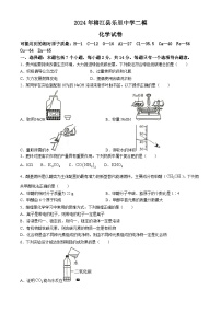 2024年贵州省黔东南州榕江县乐里中学中考二模化学试题