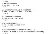 2024年上海市中考化学真题及答案