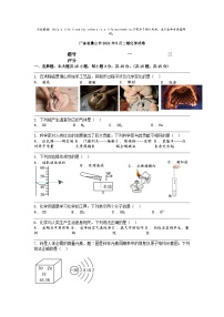[化学]广东省佛山市2024年中考二模化学试卷