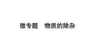 2024成都中考化学二轮复习之中考题型研究 微专题 物质的除杂（课件）