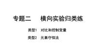 2024成都中考化学二轮复习之中考题型研究 专题二 横向实验归类练（课件）