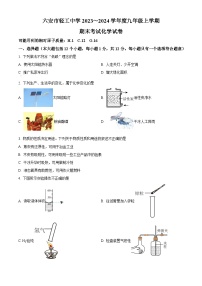 安徽省六安市轻工中学2023-2024学年九年级上学期1月期末化学试题（含解析）