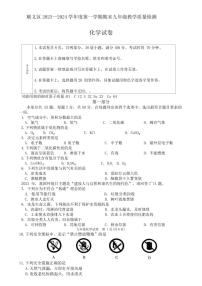 北京市顺义区2023-2024学年九年级上学期期末化学试卷