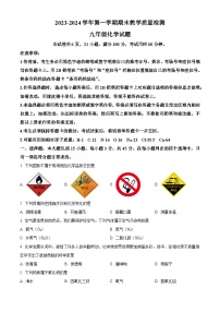 广东省河源市连平县2023-2024学年九年级上学期期末化学试题（含解析）