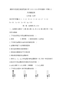 贵州省贵阳市花溪区高坡民族中学2023-2024学年九年级上学期12月月考化学试题（含答案）