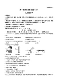 陕西省咸阳市实验中学2023-2024学年九年级上学期第二次月考化学试题