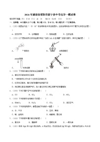 2024年湖南省邵阳市新宁县中考化学一模试卷