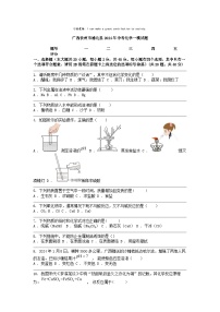 [化学][一模]广西钦州市浦北县2024年中考试题