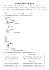 2024年四川省遂宁市中考化学试卷(附参考答案）