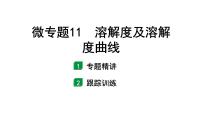 2024福建中考化学二轮中考题型研究 微专题11 溶解度及溶解度曲线（课件）