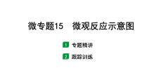 2024福建中考化学二轮中考题型研究 微专题15 微观反应示意图（课件）