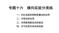 2024福建中考化学二轮中考题型研究 专题十六 横向实验分类练（课件）