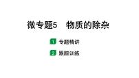 2024福建中考化学一轮复习 微专题5  物质的除杂（课件）