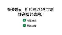 2024福建中考化学一轮复习 微专题6 粗盐提纯(含可溶性杂质的去除)（课件）