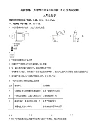 湖南省岳阳市第十九中学2023-2024学年九年级上学期12月月考化学试题（解析版）