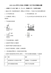 江苏苏州地区2023-2024学年九年级上学期第二次月考模拟化学试题