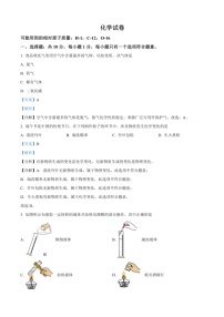 [化学][三模]2024年吉林省长春市东北师大附中明珠学校中考试题(解析版)