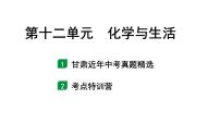 2024甘肃中考化学一轮复习之中考考点研究 第十二单元 化学与生活（课件）