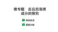 2024甘肃中考化学一轮复习之中考考点研究 微专题  反应后溶质成分的探究（课件）