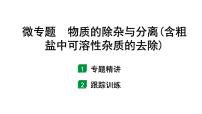 2024甘肃中考化学一轮复习之中考考点研究 微专题 物质的除杂与分离（含粗盐中可溶性杂质的去除）（课件）