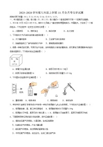 安徽省合肥市大柏中学2023-2024学年九年级上学期11月份月考化学试题