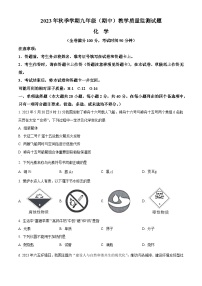 广西柳州市柳城县2023-2024学年九年级上学期期中化学试题（解析版）