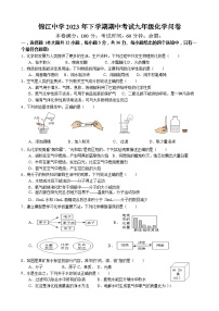 湖南省麻阳苗族自治县锦江中学2023-2024学年九年级上学期期中考试化学试题（含答案）