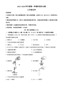 陕西省咸阳市2023-2024学年九年级上学期期中化学试题（解析版）