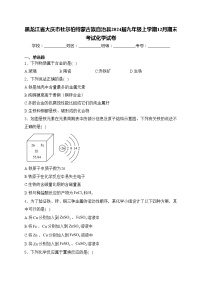黑龙江省大庆市杜尔伯特蒙古族自治县2024届九年级上学期12月期末考试化学试卷(含答案)