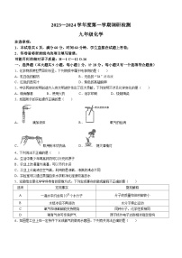 陕西省延安市2023-2024学年九年级上学期期中化学试卷（含答案）