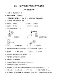 黑龙江省齐齐哈尔市依安县2023-2024学年八年级上学期期末测查化学试卷