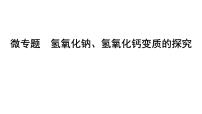 2024海南中考化学二轮重点专题突破 微专题 氢氧化钠、氢氧化钙变质的探究（课件）