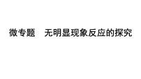 2024海南中考化学二轮重点专题突破 微专题 无明显现象反应的探究（课件）