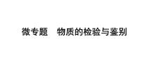 2024海南中考化学二轮重点专题突破 微专题 物质的检验与鉴别（课件）