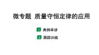 2024海南中考化学二轮重点专题突破 微专题 质量守恒定律的应用（课件）