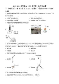 安徽省合肥市巢湖市迈进中学2023-2024学年九年级上学期第一次月考化学试题（含解析）