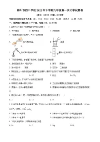 湖南省郴州市第四中学2022-2023学年九年级上学期第一次月考化学试题（解析版）