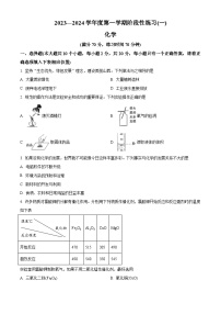 山西省长治市多校联考2023-2024学年九年级上学期9月月考化学试题（解析版）