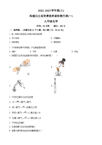 辽宁省阜新市第四中学2022-2023学年九年级上学期第一次月考化学试题（解析版）