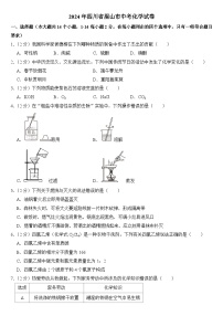 2024年四川省眉山市中考化学试卷附答案