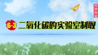 初中化学人教版（2024）九年级上册课题3 二氧化碳的实验室制取示范课课件ppt