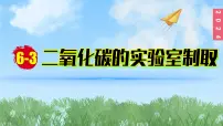 初中化学第六单元 碳和碳的氧化物实验活动3 二氧化碳的实验室制取与性质课文内容课件ppt